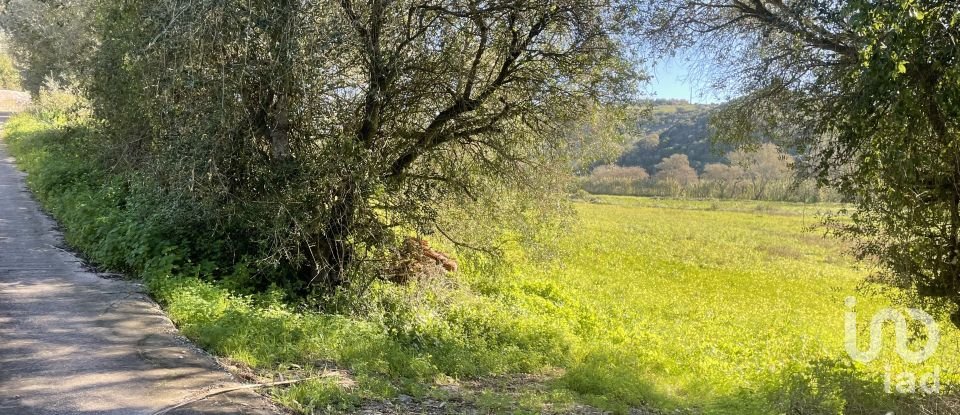 Terreno em Santo Isidoro de 9 062 m²