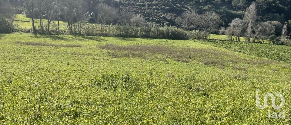 Terreno em Santo Isidoro de 9 062 m²