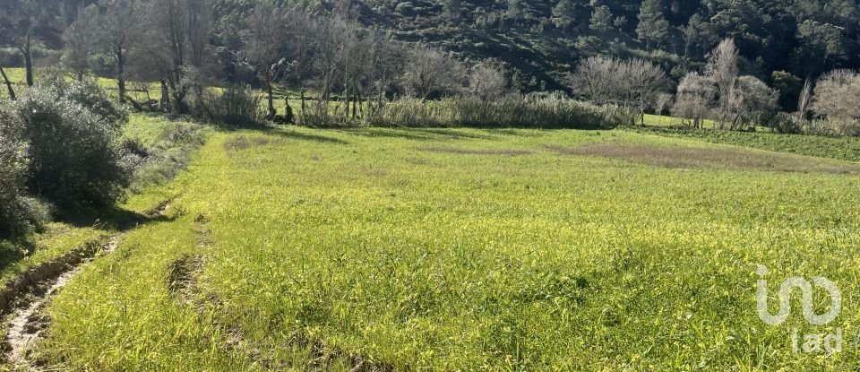 Terreno em Santo Isidoro de 9 062 m²