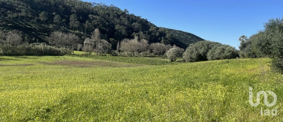 Terreno em Santo Isidoro de 9 062 m²