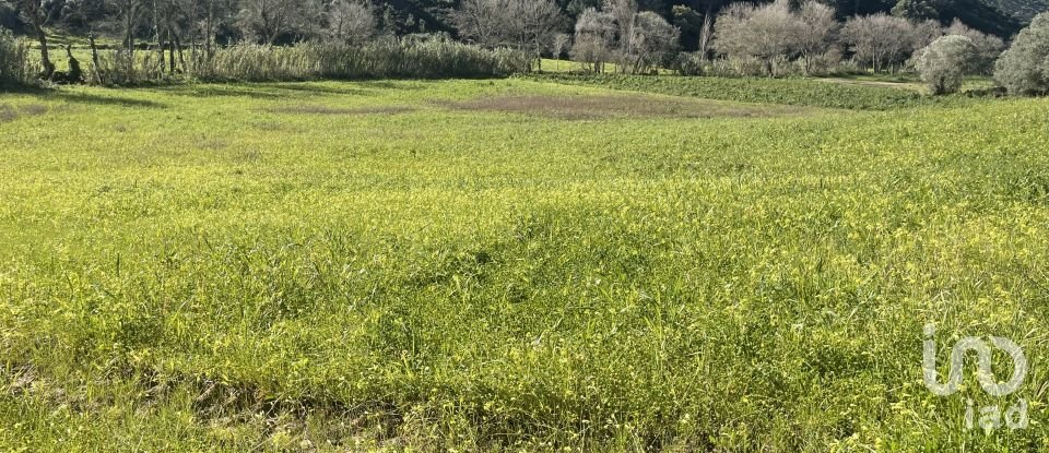 Terreno em Santo Isidoro de 9 062 m²