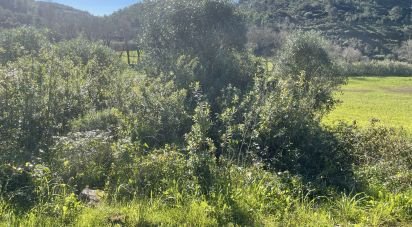 Terrain agricole à Santo Isidoro de 750 m²