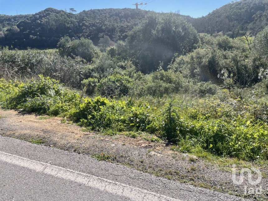 Farm land in Santo Isidoro of 750 m²