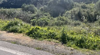 Terrain agricole à Santo Isidoro de 750 m²