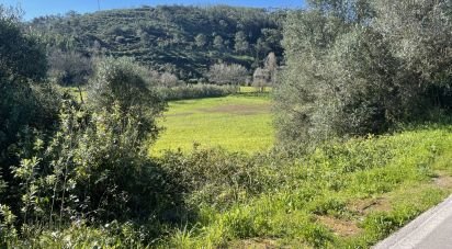Land in Santo Isidoro of 750 m²