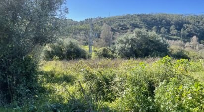 Land in Santo Isidoro of 750 m²
