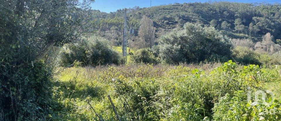 Farm land in Santo Isidoro of 750 m²