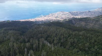 Terrain à São Gonçalo de 304 740 m²