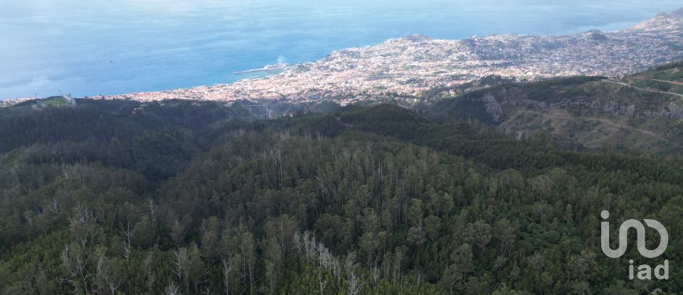 Terrain à São Gonçalo de 304 740 m²