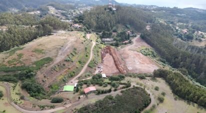 Terrain à São Gonçalo de 304 740 m²