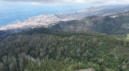 Terrain à São Gonçalo de 304 740 m²