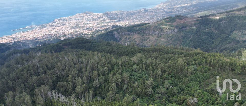 Terrain à São Gonçalo de 304 740 m²