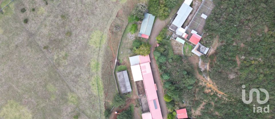 Terrain à São Gonçalo de 304 740 m²