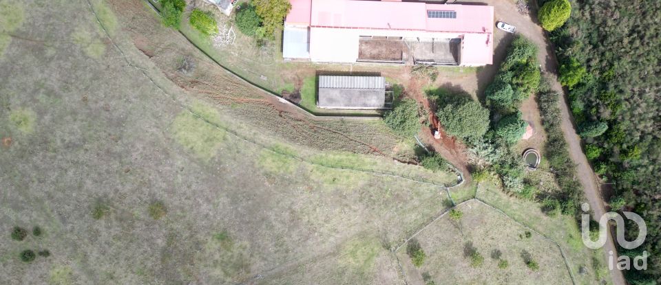 Terrain à São Gonçalo de 304 740 m²