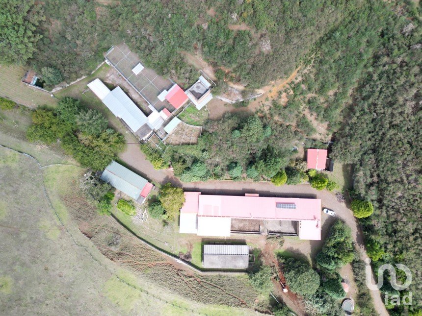 Terrain à São Gonçalo de 304 740 m²