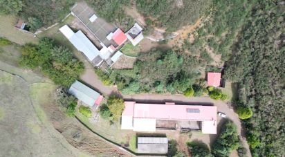 Terrain à São Gonçalo de 304 740 m²