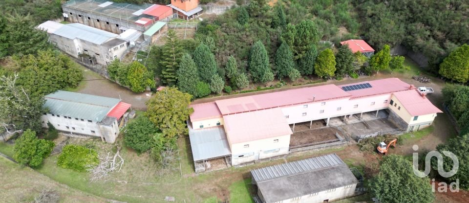 Terrain à São Gonçalo de 304 740 m²