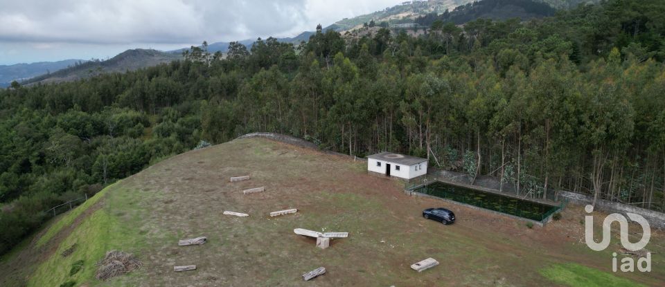 Terrain à São Gonçalo de 304 740 m²