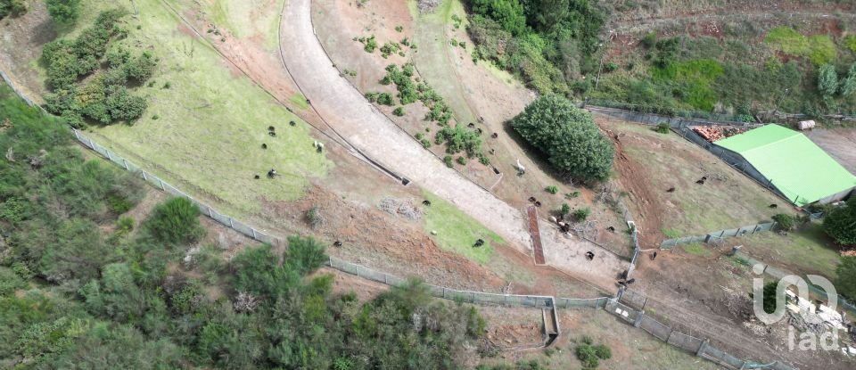 Terrain à São Gonçalo de 304 740 m²