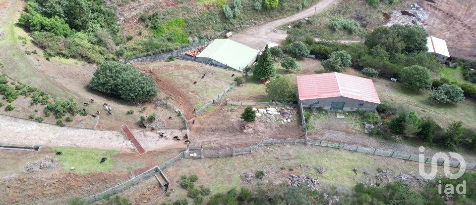 Terrain à São Gonçalo de 304 740 m²