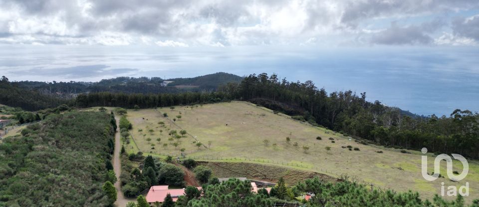 Terrain à São Gonçalo de 304 740 m²