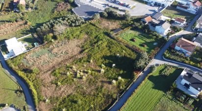 Terrain à bâtir à Forjães de 9 781 m²