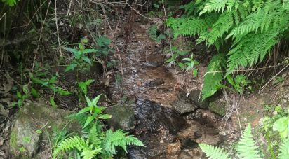 Maison rustique T0 à Aldeias e Mangualde da Serra de 40 m²