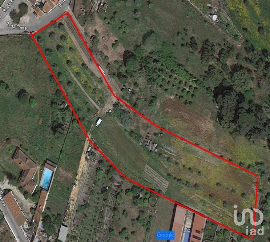 Building plot in Chamusca e Pinheiro Grande of 8,560 m²
