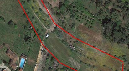Terrain à bâtir à Chamusca e Pinheiro Grande de 8 560 m²