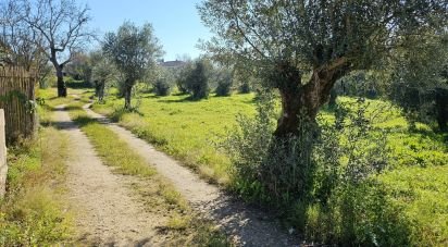 Terrain à bâtir à Chamusca e Pinheiro Grande de 8 560 m²