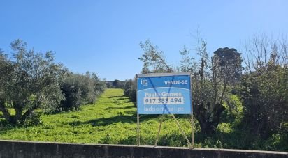 Terrain à bâtir à Chamusca e Pinheiro Grande de 8 560 m²