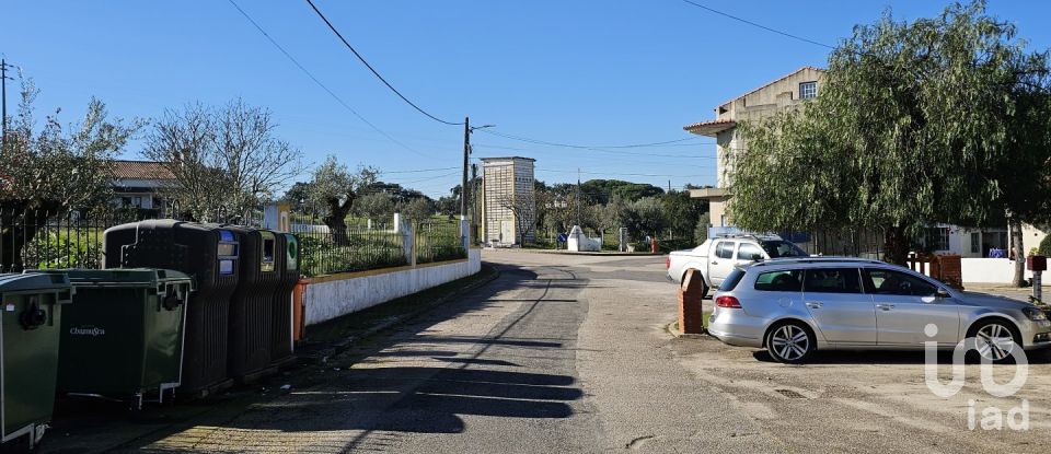 Building plot in Chamusca e Pinheiro Grande of 8,560 m²