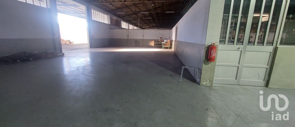 Loja / Estabelecimento Comercial em Bougado (São Martinho e Santiago) de 7 375 m²