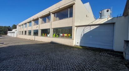 Shop / premises commercial in Bougado (São Martinho e Santiago) of 7,375 m²