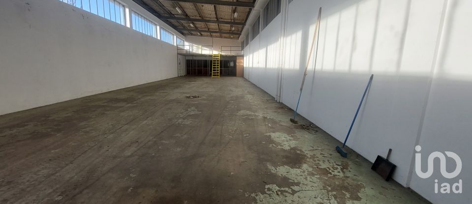 Loja / Estabelecimento Comercial em Bougado (São Martinho e Santiago) de 7 375 m²