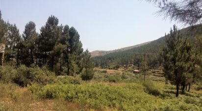 Terrain à bâtir à Verdelhos de 2 910 m²