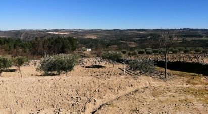 Land in Aveloso of 19,172 m²