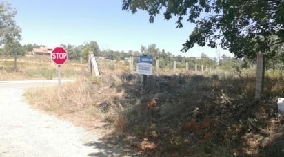 Terrain à Sabugal e Aldeia de Santo António de 56 170 m²