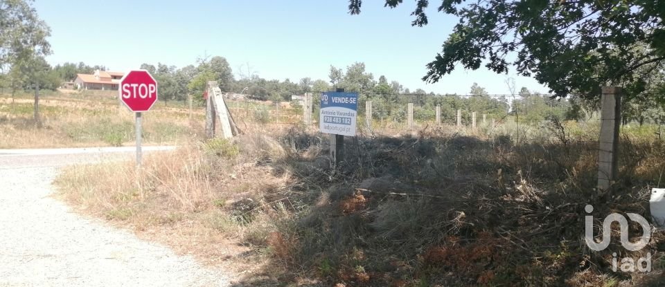 Land in Sabugal e Aldeia de Santo António of 56,170 m²