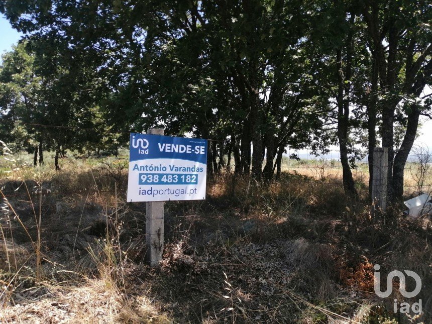 Land in Sabugal e Aldeia de Santo António of 56,170 m²