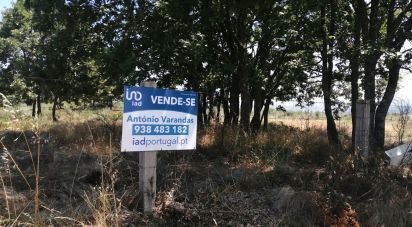 Terrain à Sabugal e Aldeia de Santo António de 56 170 m²