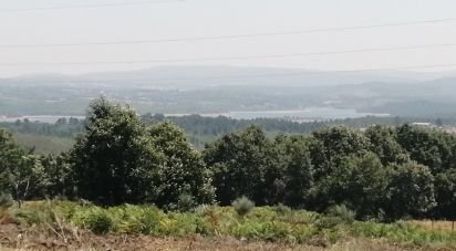 Terrain à Sabugal e Aldeia de Santo António de 56 170 m²