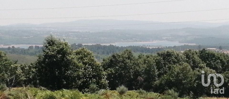 Land in Sabugal e Aldeia de Santo António of 56,170 m²