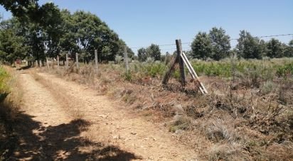 Terrain à Sabugal e Aldeia de Santo António de 56 170 m²