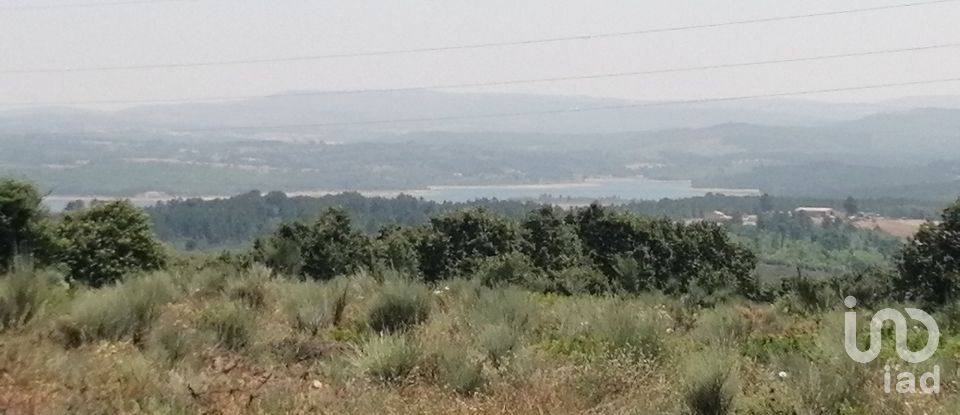 Land in Sabugal e Aldeia de Santo António of 56,170 m²