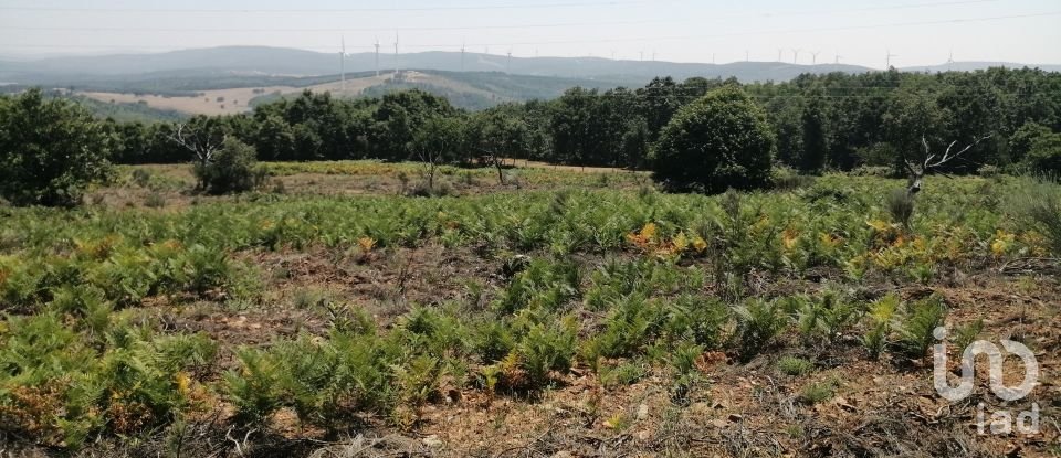 Land in Sabugal e Aldeia de Santo António of 56,170 m²