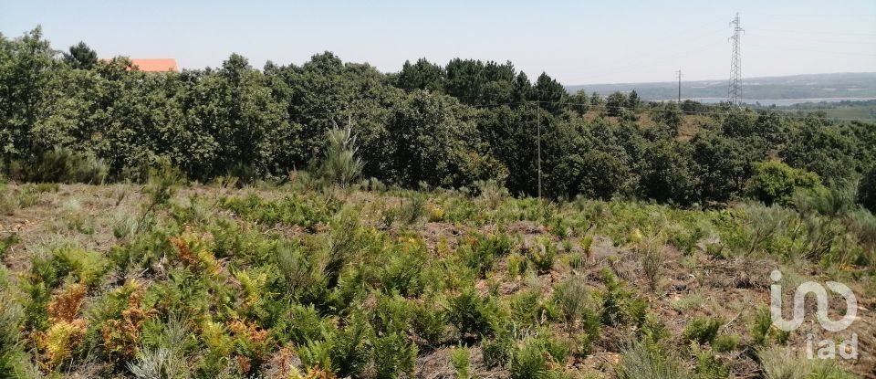 Land in Sabugal e Aldeia de Santo António of 56,170 m²