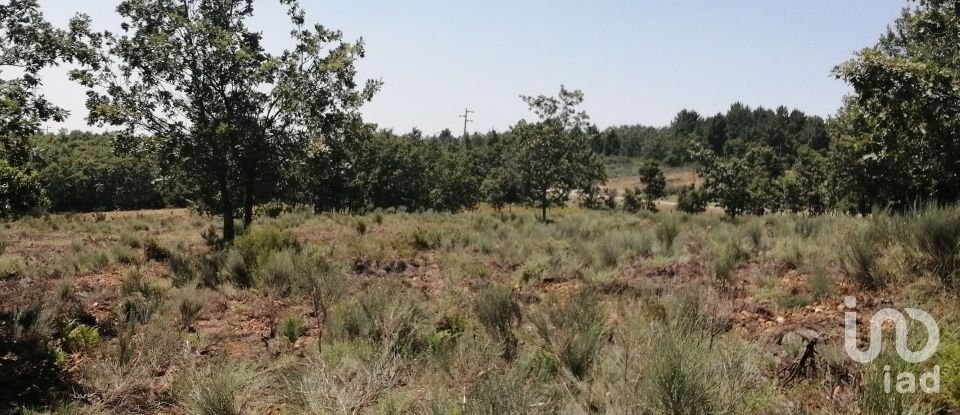 Land in Sabugal e Aldeia de Santo António of 56,170 m²