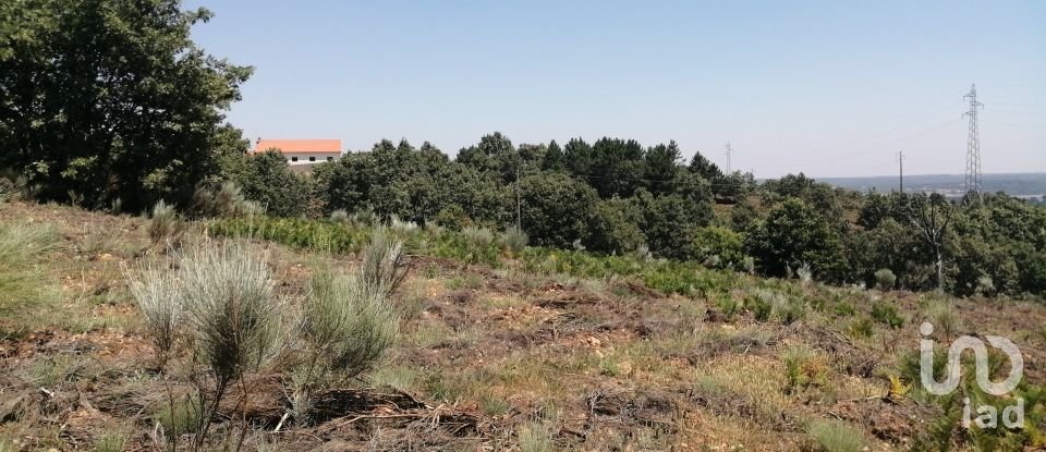 Land in Sabugal e Aldeia de Santo António of 56,170 m²