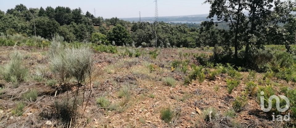 Land in Sabugal e Aldeia de Santo António of 56,170 m²